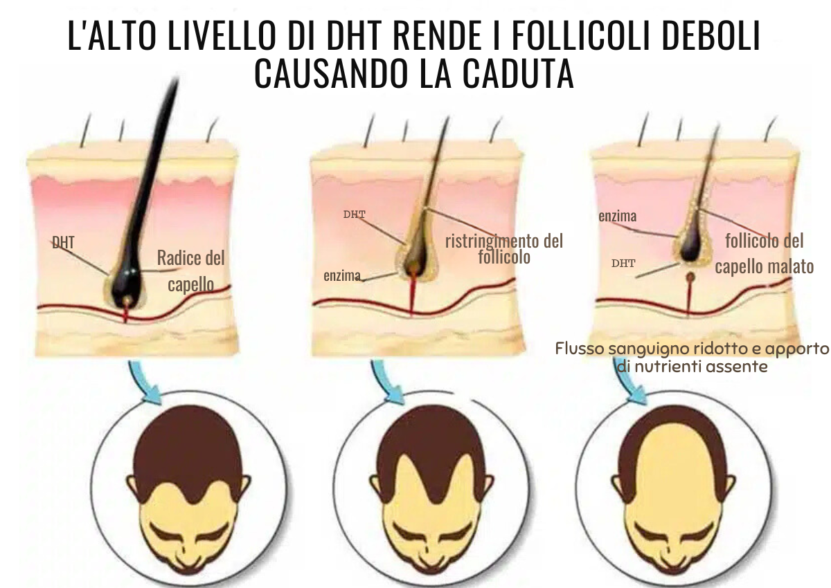 Descrizione зображення